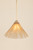 Gabrielle One Light Pendant (H1096701L-AGB)