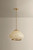 Maliah One Light Pendant (H1169701L-PBR)