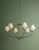 Brinlea Six Light Chandelier (H1197806-PBR)