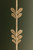 Florian One Light Table Lamp (PTL4408-VGL)