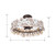 Ravelin Five Light Semi-Flush Mount (N1525-860)