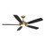 Dyno 60" Ceiling Fan (F1001-BBR/CL)
