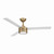 Roto 52" Ceiling Fan (F535L-BBR/ALW)