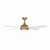 Orb 54" Ceiling Fan (F623L-BBR/ALW)