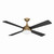 Orb 54" Ceiling Fan (F623L-BBR/CL)
