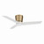 Pure 48" Ceiling Fan (F671L-BBR/ALW)