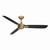 Minka Aire - F727-BBR/CL - 52 Ceiling Fan - Rudolph - Brushed Brass