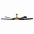 Deco 65" Ceiling Fan (F866L-HBR/CL)