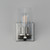 Livingston One Light Wall Sconce (10461CDSN)