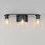 Livingston Three Light Bath Vanity (10463CDBK)