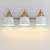 Hollis Three Light Wall Sconce (21423GWNAB)