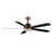 Maxim - 88828BKGLD - 60 Ceiling Fan - Daisies - Black / Gold