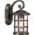 manufacturer_finish:Palladian Bronze