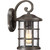 manufacturer_finish:Palladian Bronze