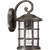 manufacturer_finish:Palladian Bronze
