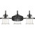 manufacturer_finish:Earth Black