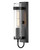 Hinkley - 13200BK - LED Wall Mount - Ryden - Black