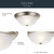 Two Light Flush Mount (8109NI)