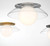 Ancona One Light Ceiling / Wall Mount (10125-01)
