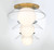 Ancona One Light Ceiling / Wall Mount (10125-01)