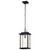Nuvo Lighting - 60-7377 - One Light Outdoor Hanging Lantern - Sullivan - Matte Black