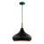 Phoenix One Light Pendant (60-7513)