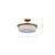Rowen Four Light Semi Flush Mount (60-7752)