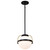 Lakeshore One Light Pendant (60-7773)