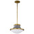 Nuvo Lighting - 60-7917 - One Light Pendant - Lafayette - Matte Gray