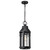 Nuvo Lighting - 60-8104 - One Light Hanging Lantern - Wilton - Matte Black