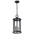 Nuvo Lighting - 60-8115 - Two Light Hanging Lantern - Broadstone - Matte Black