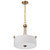 Nuvo Lighting - 60-8204 - Three Light Pendant - Liam - Burnished Brass