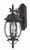 Nuvo Lighting - 60-893 - Three Light Outdoor Wall Lantern - Central Park - Textured Black