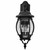 Central Park Three Light Outdoor Wall Lantern (60-893)