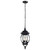 Central Park Three Light Hangng Lantern (60-896)