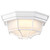 LED Spider Cage Fixture (62-1399)