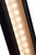 Raven LED Outdoor Wall Sconce (62-1426)