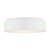 Orbit LED Flush Mount (62-1453)