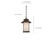 Bethany LED Outdoor Hanging Lantern (62-635)