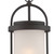 Willis LED Outdoor Hanging Lantern (62-655)