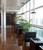 Hawk LED Pendant (62-996)