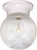 Nuvo Lighting - SF76-257 - One Light Flush Mount - White