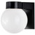 One Light Wall Lantern (SF77-141)