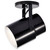 One Light Plant Lamp (SF77-394)