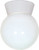 Nuvo Lighting - SF77-532 - One Light Ceiling Mount - White
