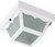 Nuvo Lighting - SF77-879 - Two Light Flush Mount - White