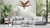 Palmera Ten Light Chandelier (1-3066-10-274)