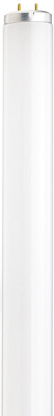 Satco - S6563 - Light Bulb - Frost