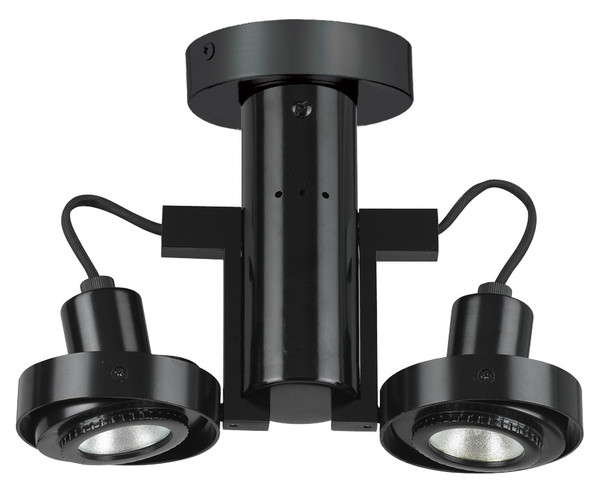 Cal Lighting - CE-962/MR-16-BK - 12V Mr-16 Two Lights 50W Max Ea Tr - Dual Spot - Black