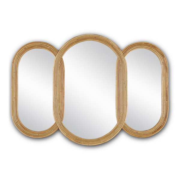 Currey and Company - 1000-0128 - Mirror - Triboa - Natural/Khaki